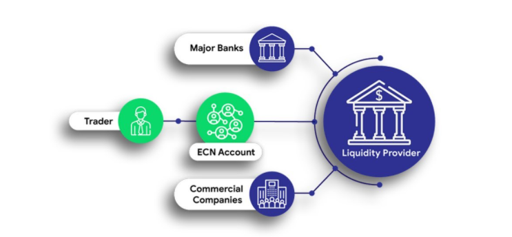 Ecn brokeriai, Kas yra ECN Sužinokite apie tikro ECN Forex Broker privalumus FXCC