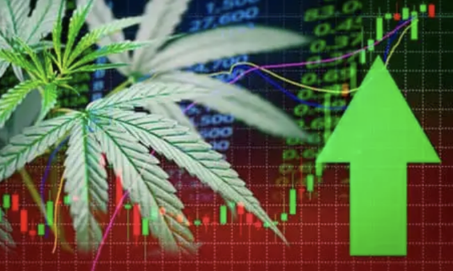 Cannabis stijgt in waarde op Weed Millionaire