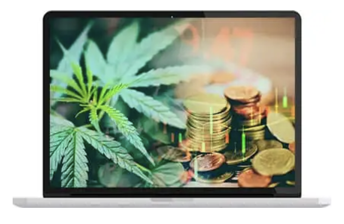Cannabis plant and money