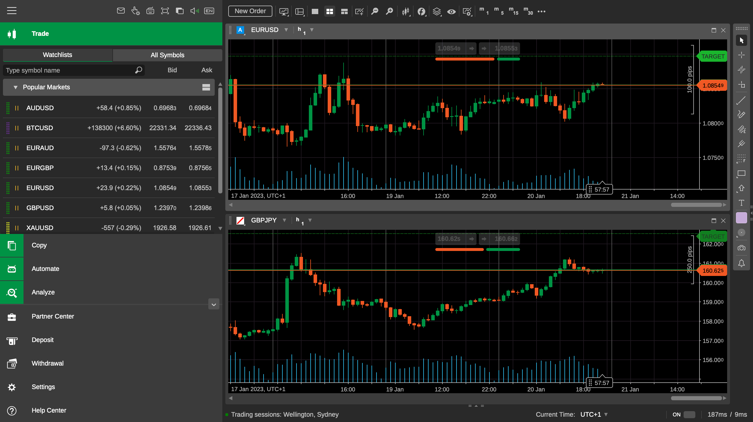 ภาพรวมของ cTrader IC Markets