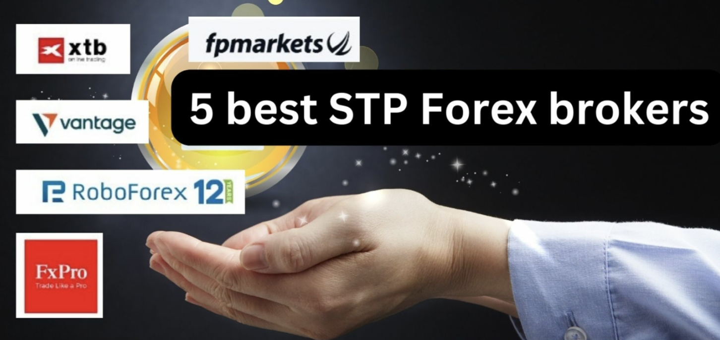 5 najlepszych brokerów forex STP