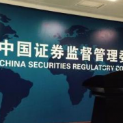 中国語-預託証券-CDR-規制当局
