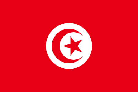 튀니지의 국기
