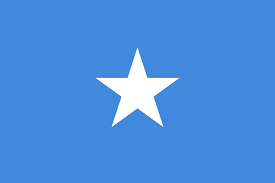 소말리아의 국기