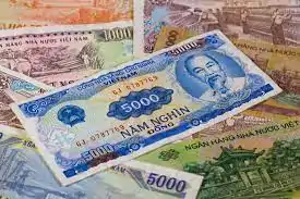 5000 Vietnam Dongu banknotu