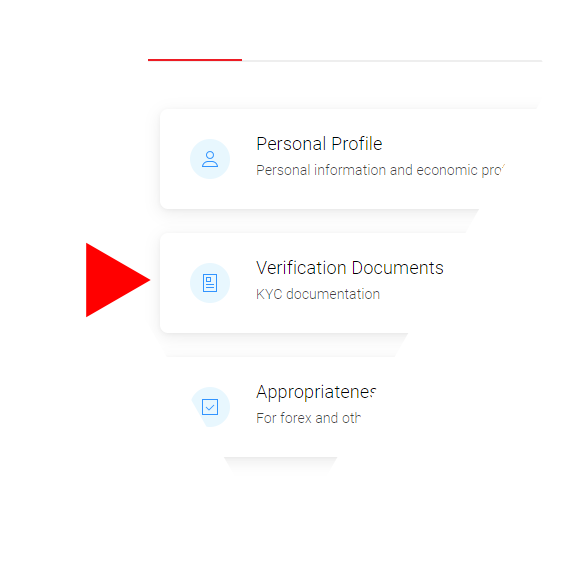 profile verification using BDSwiss as an example